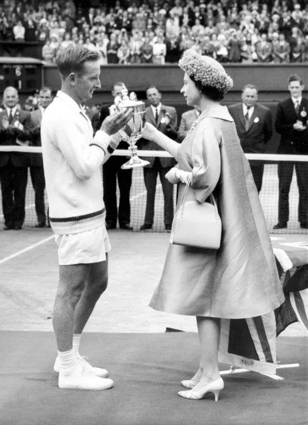 具体到阵容 具体到阵容